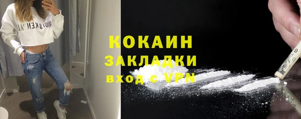 прущие грибы Заволжск