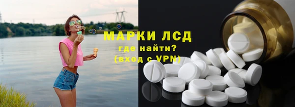 прущие грибы Заволжск
