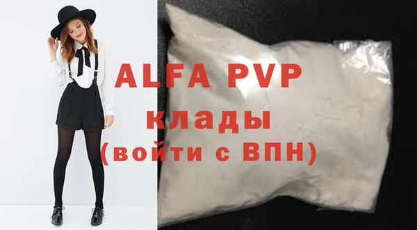 прущие грибы Заволжск