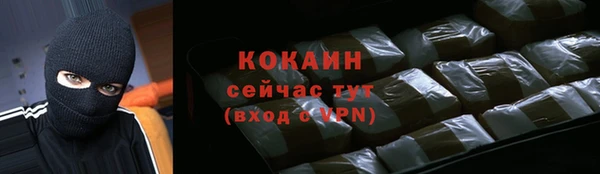 прущие грибы Заволжск