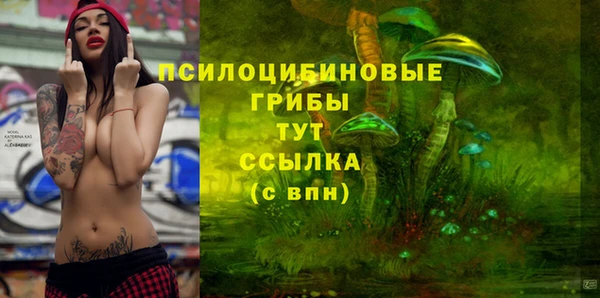 apvp Заводоуковск