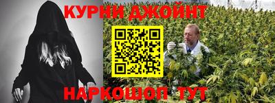 гидропоника Кингисепп