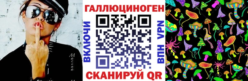 Псилоцибиновые грибы Cubensis  Славянск-на-Кубани 