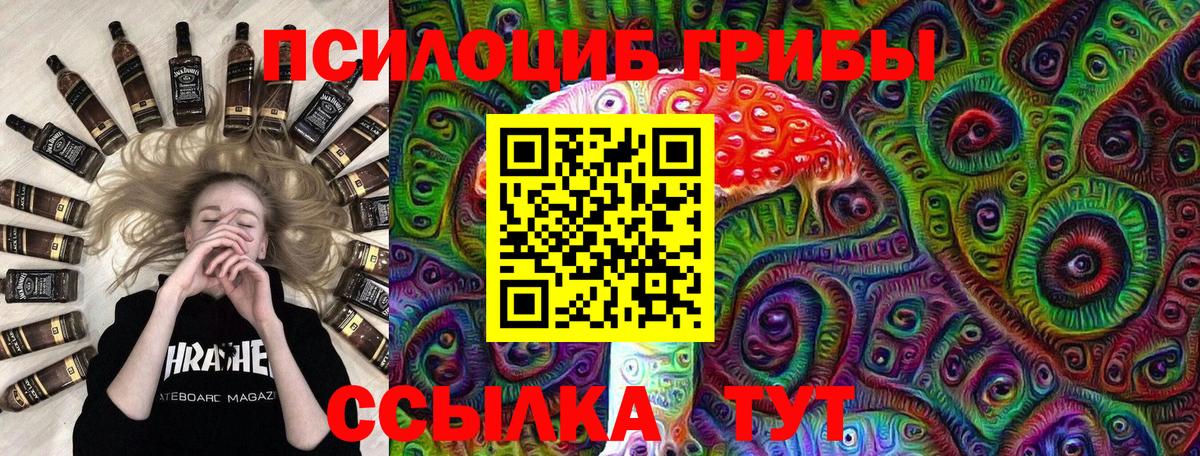 Галлюциногенные грибы Psilocybine cubensis Славянск-на-Кубани
